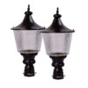 Bene Garden Light Reed 22 cm (Black, Pack of 2 Pc)