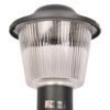 BENE Garden Light Reed 23 Cm (Clear, Grey, Pack of 1 Pc) - Image 4
